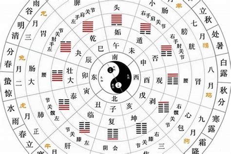 天干地支年月日|干支历 (中国传统历法)